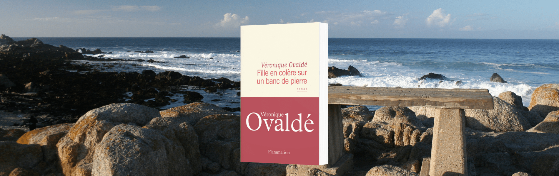 Véronique Ovaldé, Fille en colère sur un banc de pierre