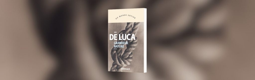 Erri de Luca, Erri, Grandeur nature - chronique Mare Nostrum