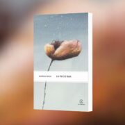 Le petit roi - Matthieu Belezi - chronique Mare Nostrum