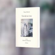 Fawaz Hussain, Un Été en vrac - Chronique de Jean-Jacques Bedu