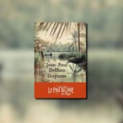 Jean-Paul Delfino, Guyanes