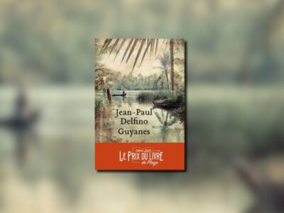 Jean-Paul Delfino, Guyanes