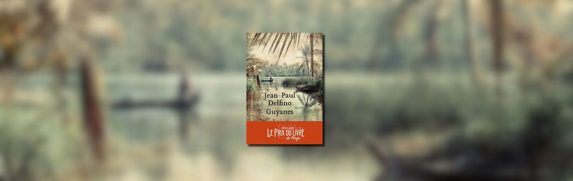 Jean-Paul Delfino, Guyanes