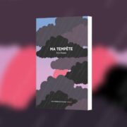 Éric Pessan, Ma tempête chronique Mare Nostrum