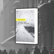 Béatrice Wilmos, Tant de neige et si peu de pain chronique de Jean-Jacques Bedu