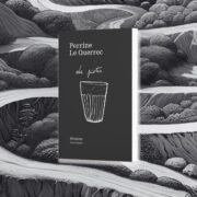 Perrine Le Querrec, Les pistes : fictions
