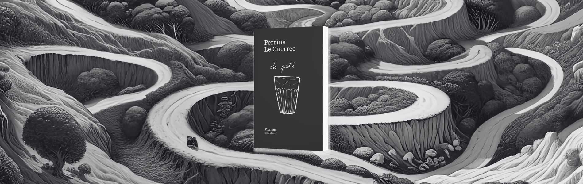 Perrine Le Querrec, Les pistes : fictions