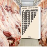 Olivier Bordaçarre, La disparition d'Hervé Snout