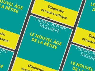 Pierre-André Taguieff, Le nouvel âge de la bêtise : diagnostic et contre-attaque