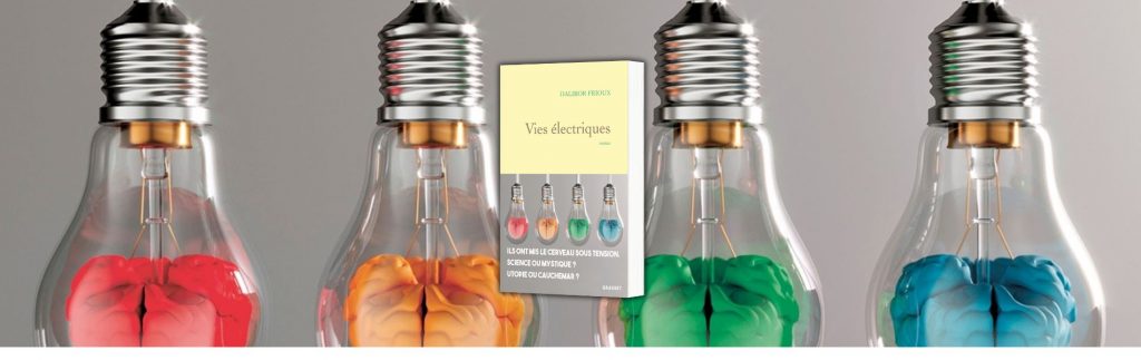 Dalibor Frioux, Vies électriques, Grasset,