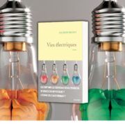 Dalibor Frioux, Vies électriques, Grasset,