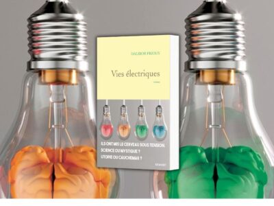 Dalibor Frioux, Vies électriques, Grasset,