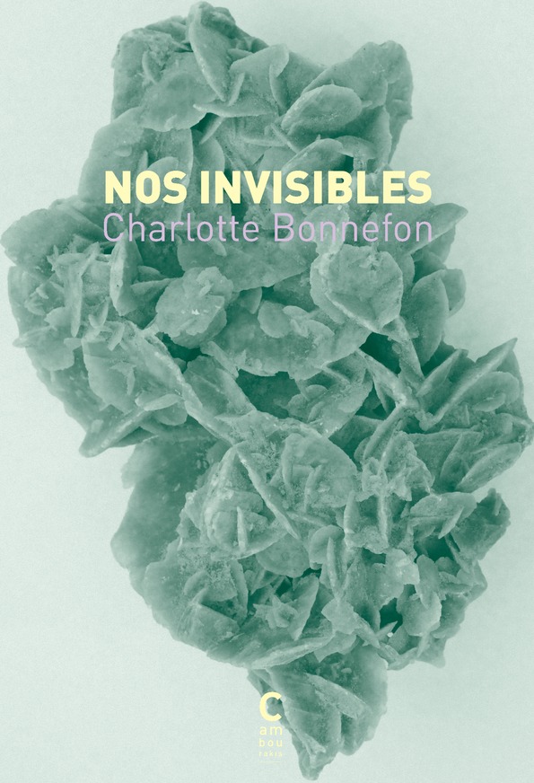 Charlotte Bonnefon, Nos invisibles