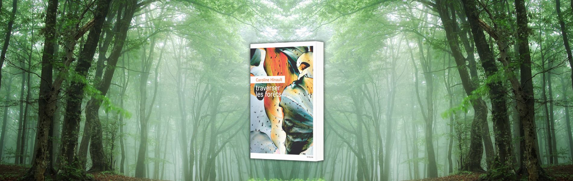 Caroline Hinault, Traverser les forêts
