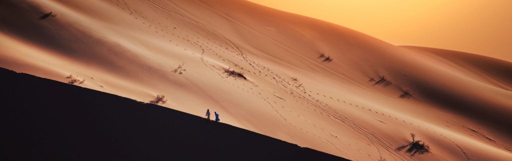 Mohed Altrad, Le Désert en partage