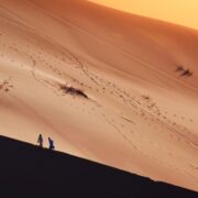 Mohed Altrad, Le Désert en partage