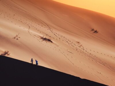Mohed Altrad, Le Désert en partage