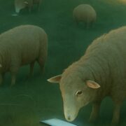 Illustration Chronique Mare Nostrum : Myriam Ackermann-Sommer, Les nouveaux moutons de Panurge