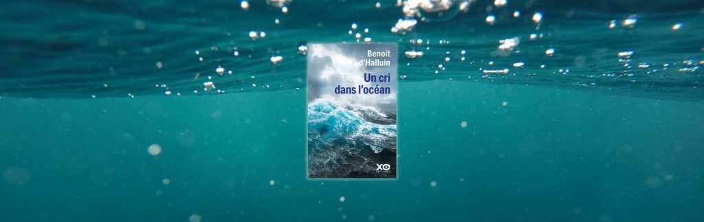 Chronique Benoit d’Halluin, Un cri dans l'océan