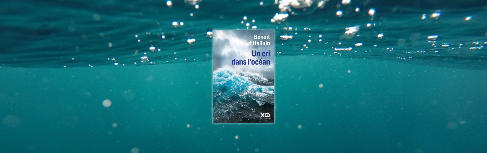 Chronique Benoit d’Halluin, Un cri dans l'océan