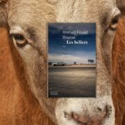 Chronique mare nostrum Ahmed Fouad Bouras, Les béliers