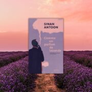 Chronique mare Nostrum Sinan Antoon, Comme un parfum de lavande