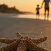 Chronique Mare Nostrum Valérie Rodrigue, Désire-moi