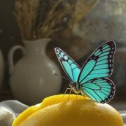 Chronique Mare Nostrum Anne-Christine Tinel, La mangue et le papillon