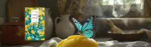 Chronique Mare Nostrum Anne-Christine Tinel, La mangue et le papillon