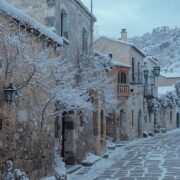 Chronique Mare Nostrum - Michalis Makropoulos, L’arbre de Judas