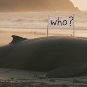 Chronique Mare Nostrum Yolanda González, Complainte océanique