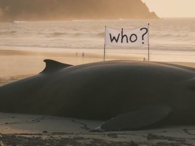 Chronique Mare Nostrum Yolanda González, Complainte océanique