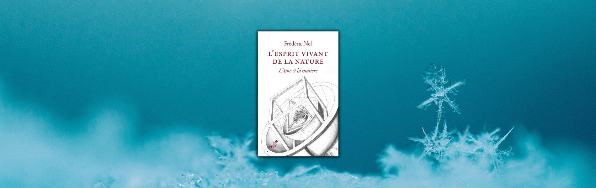 Chronique Mare Nostrum Frédéric Nef, L’Esprit vivant de la nature