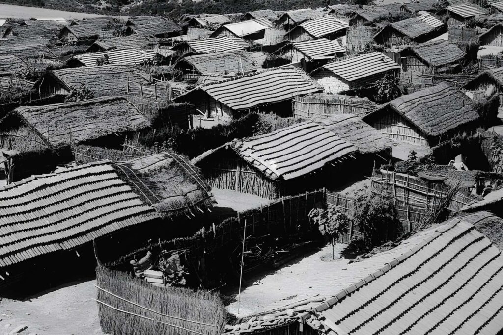 Lorraine Rossignol, Une tragédie occultée de la guerre d’Algérie : Les camps de regroupement