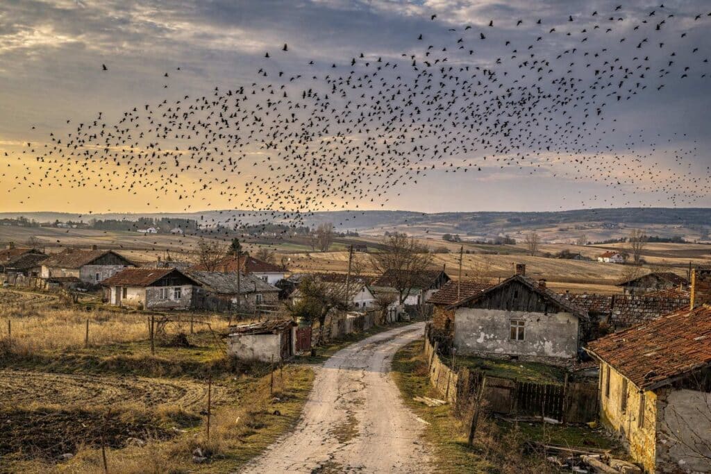 Village rural bulgare survolé par une nuée de corbeaux, image évoquant Caravane pour corbeaux et la mémoire du Deliorman.
