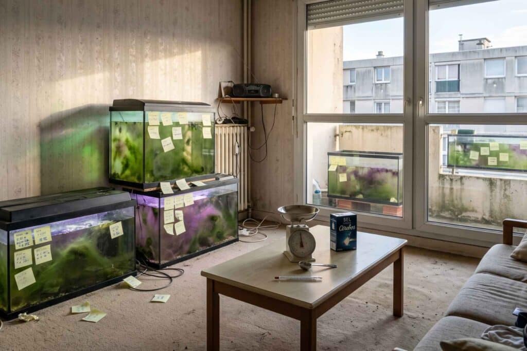 Aquariums d'eau verte et violette couverts de post-it dans un salon, scène d'Abdallah superstar